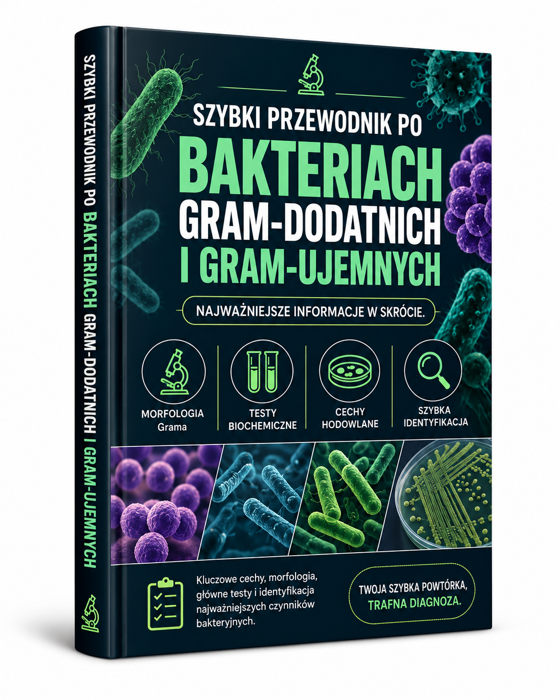 Okładka: Wizualny Przewodnik po Bakteriach Gram-dodatnich i Gram-ujemnych